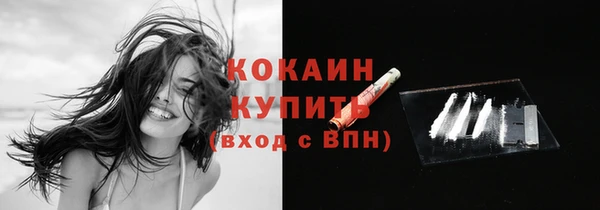 прущая мука Бородино